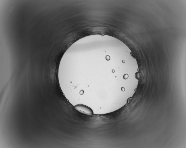 X0000096210379200802151507