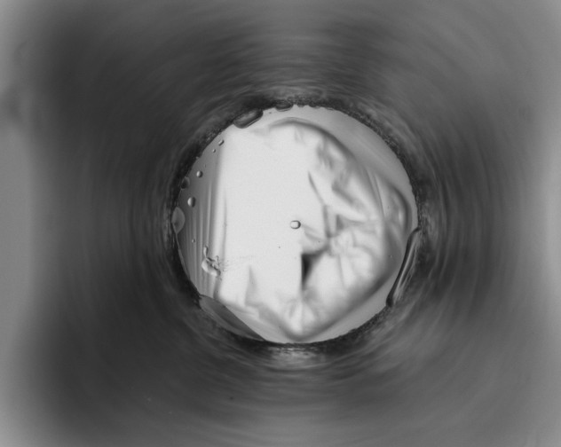 X0000096210380200802151507