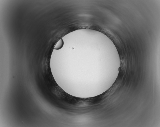 X0000096210381200802151507