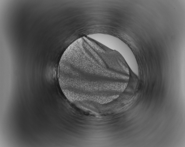X0000096210382200802151507