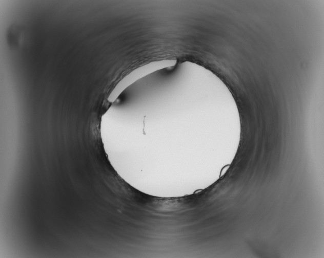X0000096210384200802151507