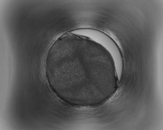 X0000096210385200802151506