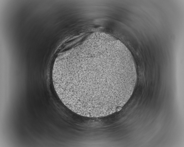 X0000096210386200802151506
