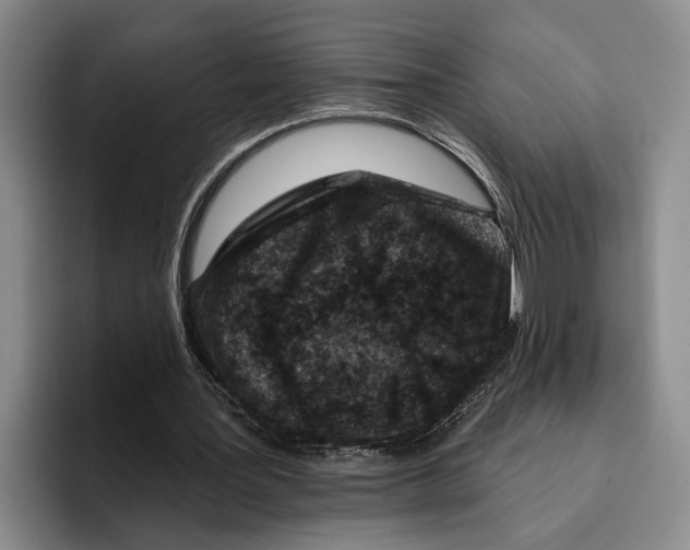 X0000096210387200802151506