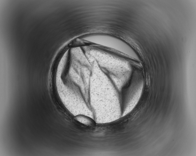 X0000096210388200802151506