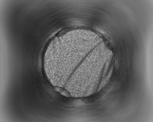 X0000096210390200802151506