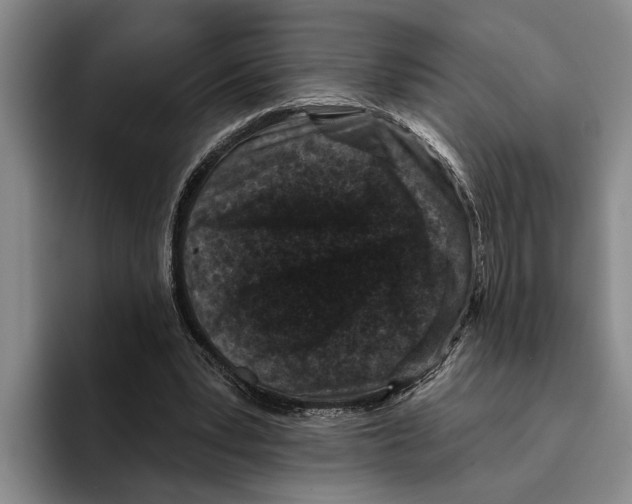 X0000096210391200802151506