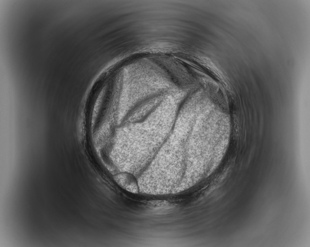 X0000096210392200802151506