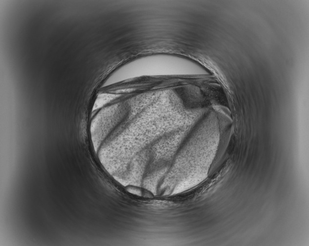 X0000096210393200802151506