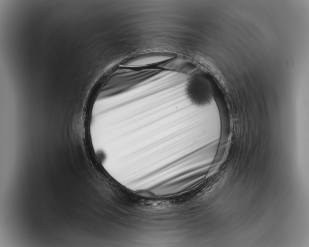 X0000096210395200802151506