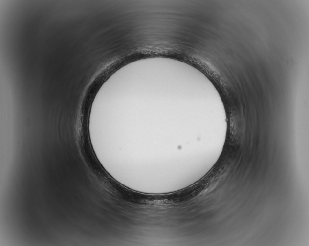 X0000096210396200802151506