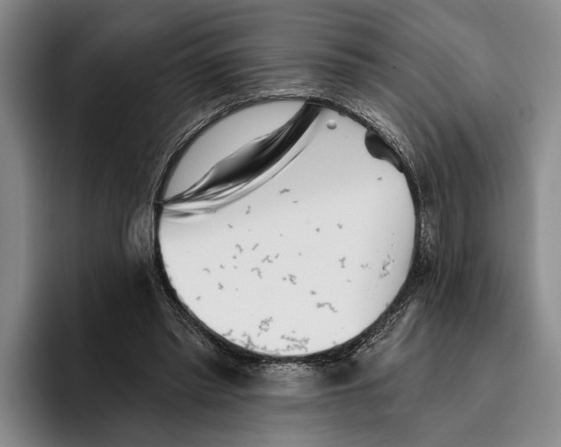 X0000096210397200802151506