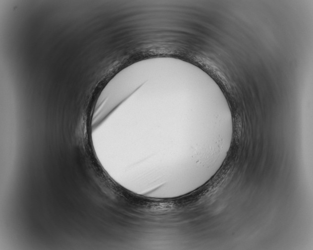 X0000096210398200802151506