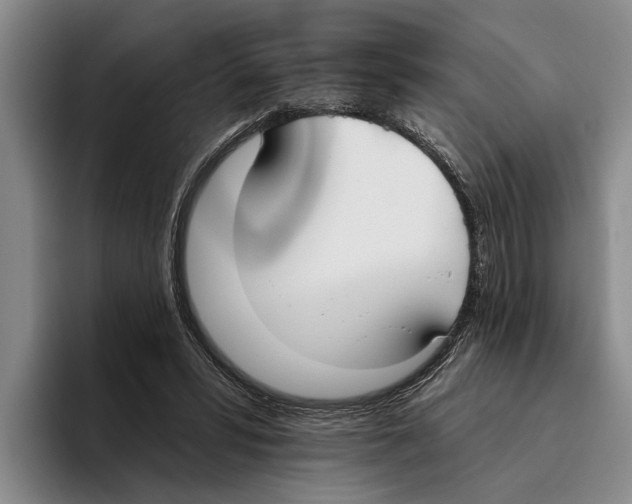 X0000096210399200802151506