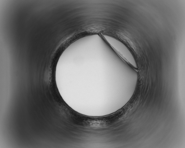 X0000096210400200802151506