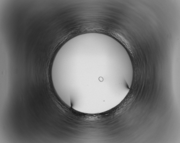 X0000096210405200802151506