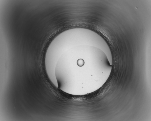 X0000096210407200802151506