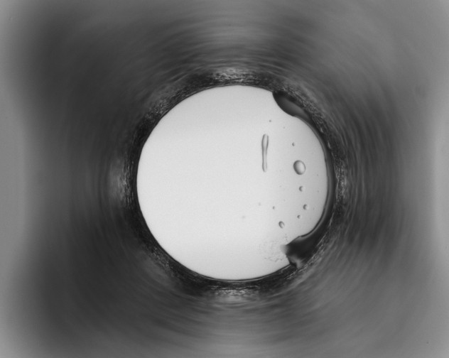 X0000096210408200802151506