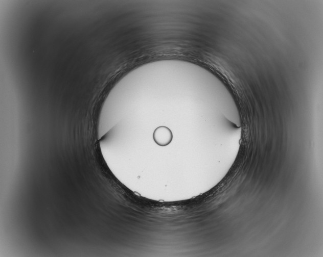 X0000096210411200802151506