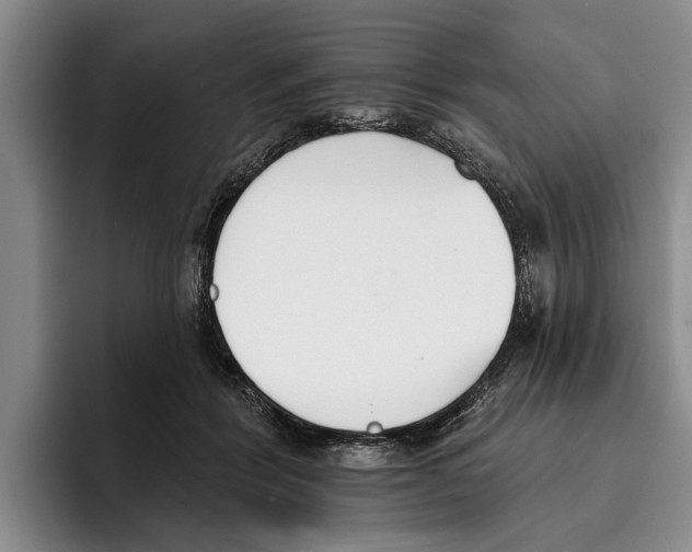X0000096210412200802151506