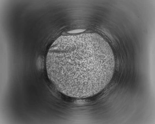 X0000096210413200802151506