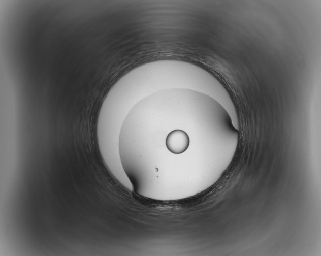 X0000096210415200802151506