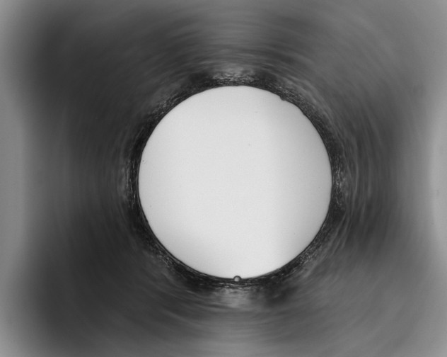X0000096210416200802151506