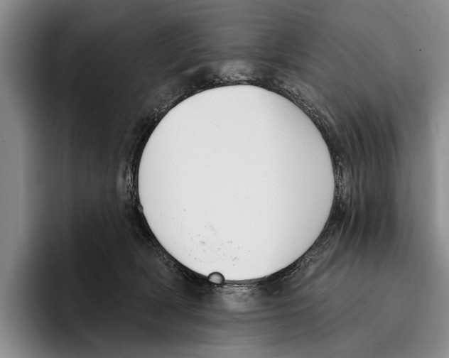 X0000096210418200802151506