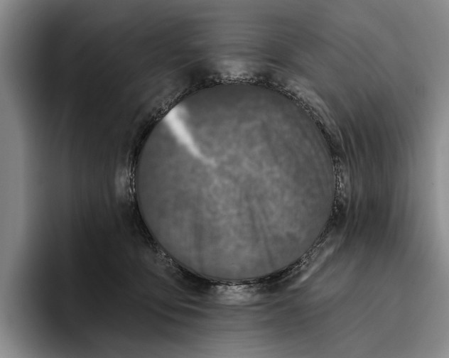 X0000096210419200802151506