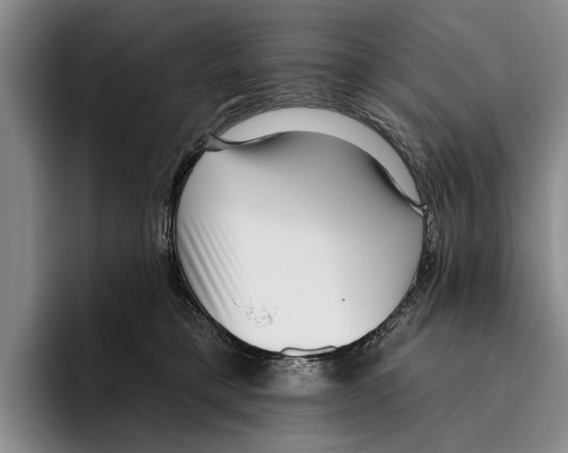 X0000096210421200802151506