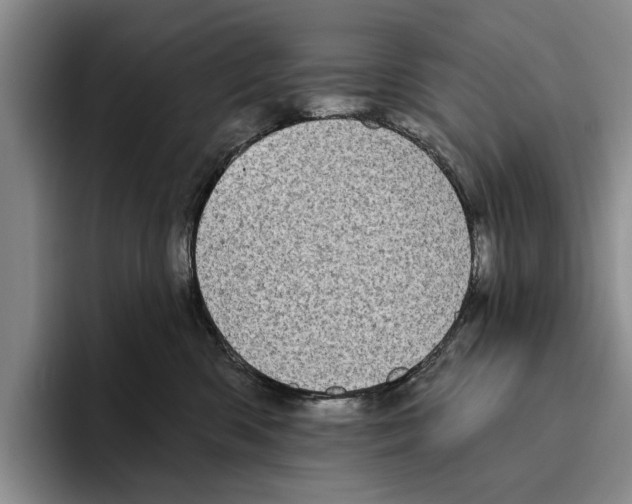 X0000096210426200802151506