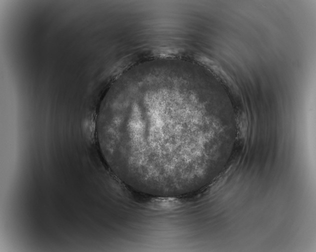 X0000096210427200802151506