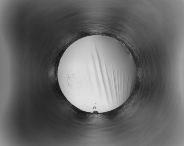 X0000096210428200802151506