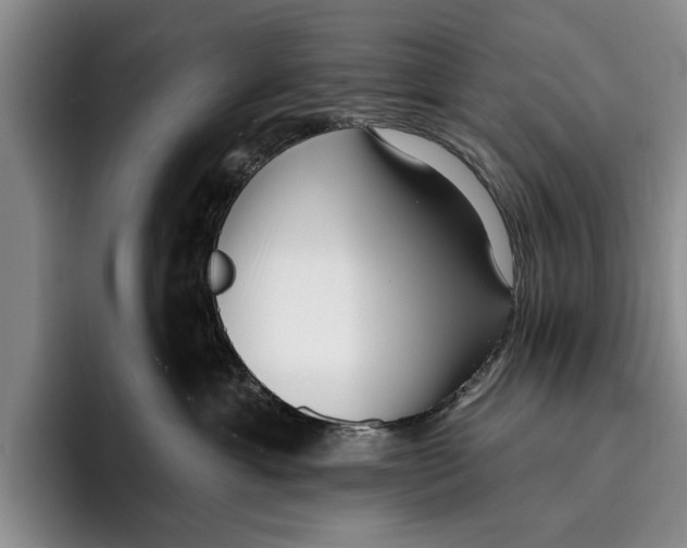 X0000096210429200802151506