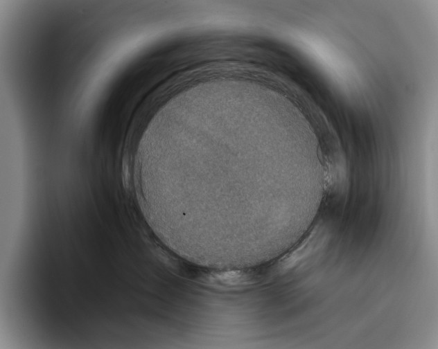 X0000096210431200802151506