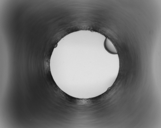 X0000096210432200802151506