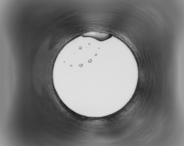 X0000096210433200802151505