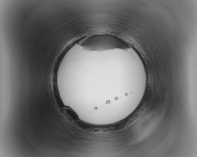 X0000096210434200802151505