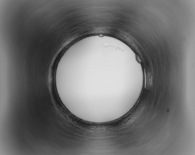 X0000096210435200802151505