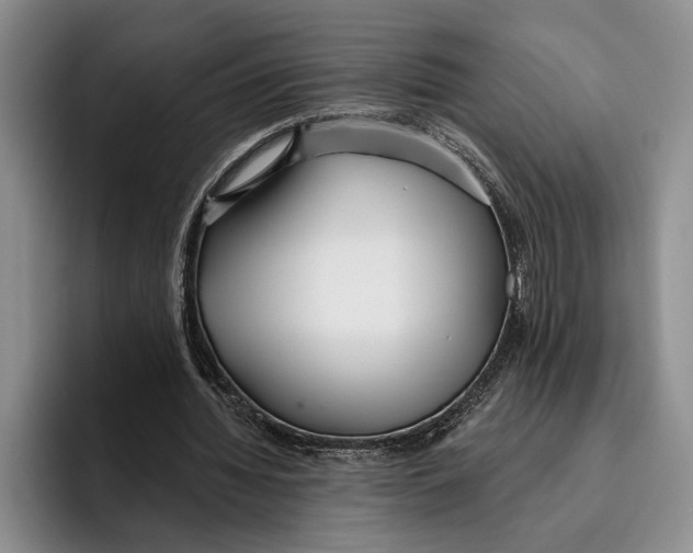 X0000096210436200802151505