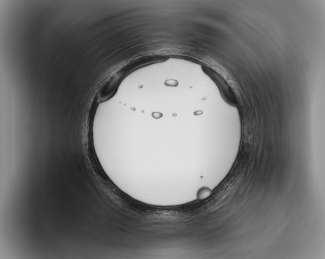 X0000096210437200802151505