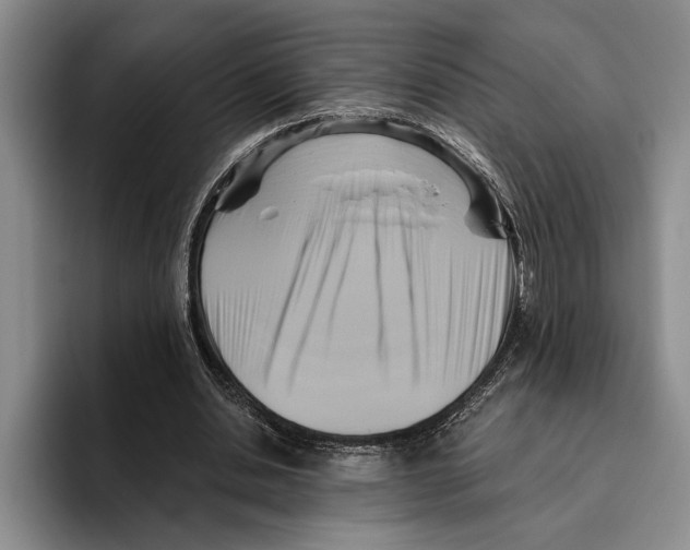 X0000096210438200802151505