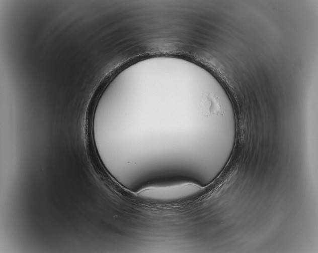X0000096210439200802151505