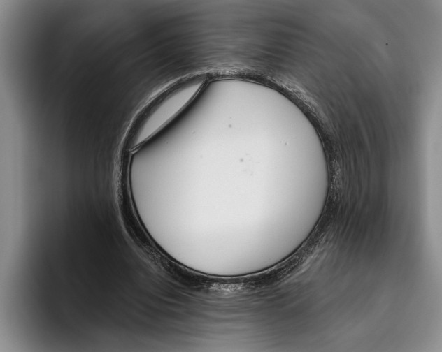 X0000096210440200802151505