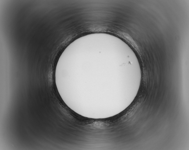 X0000096210441200802151505