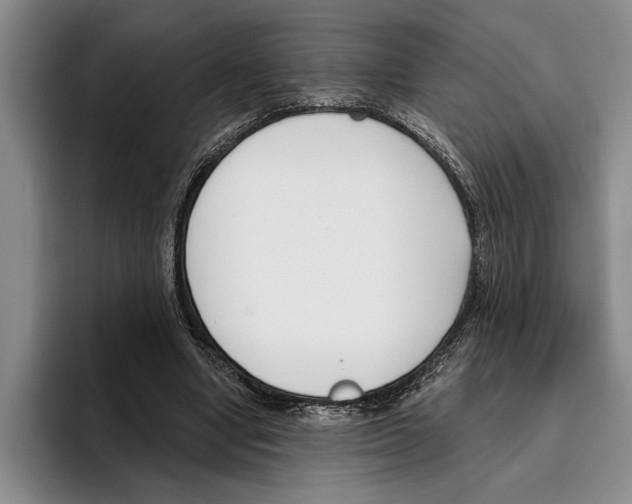 X0000096210442200802151505