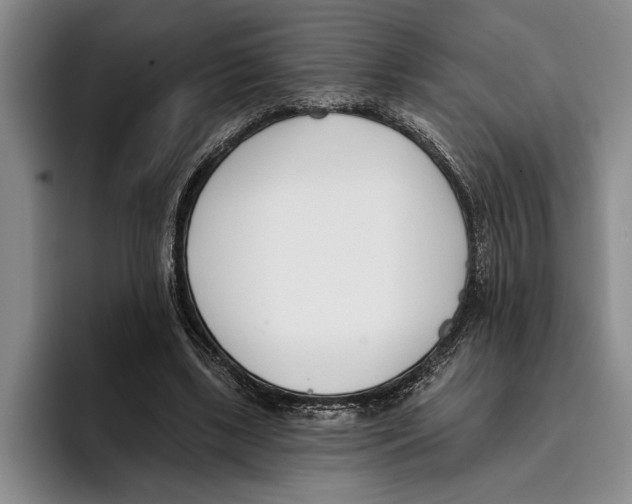 X0000096210443200802151505