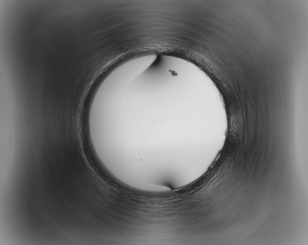 X0000096210444200802151505