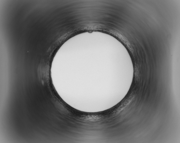 X0000096210445200802151505