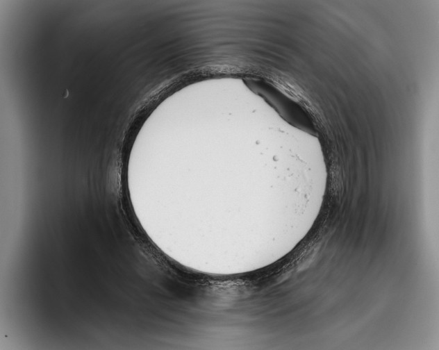 X0000096210446200802151505